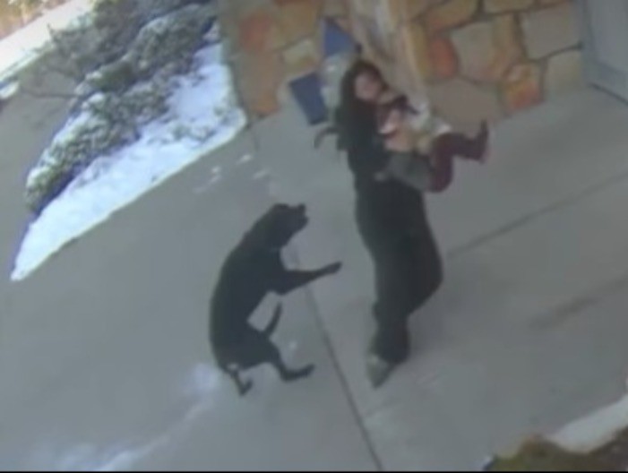 HOROR ISPRED ŠKOLE Pas oborio majku i dete, vukao ih po asfaltu - kamera zabeležilla jeziv prizor! 